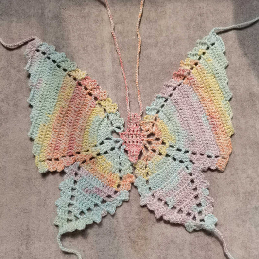 Auroa Wings Hand Knitted Top