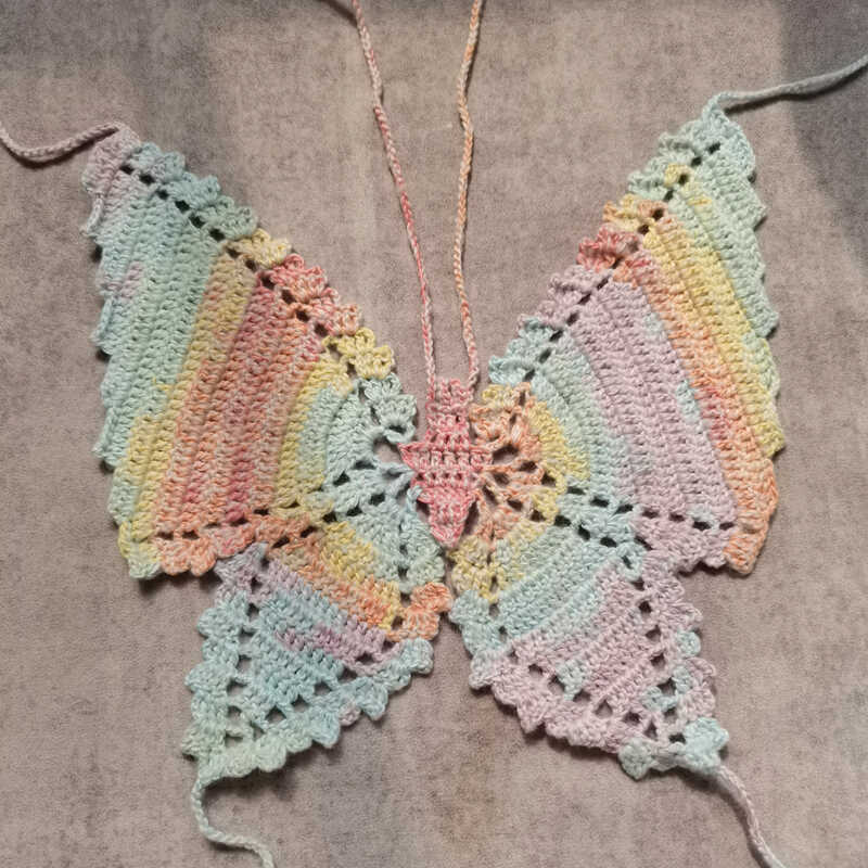Auroa Wings Hand Knitted Top