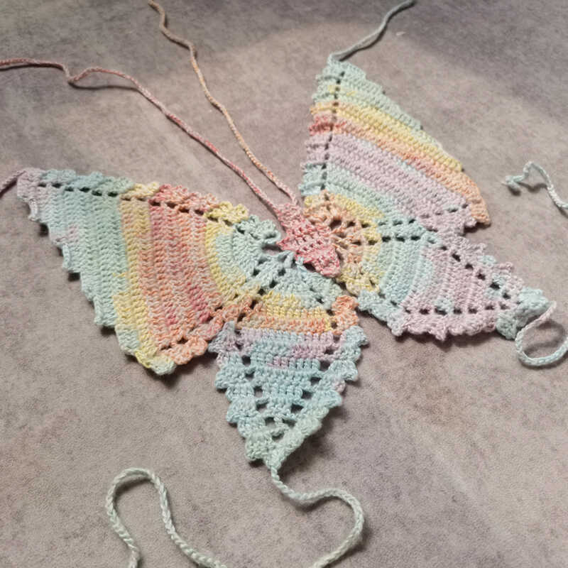 Auroa Wings Hand Knitted Top